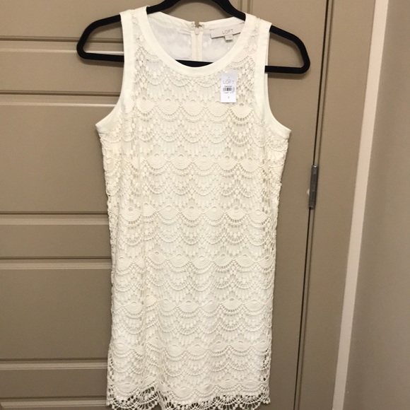 Beautiful lace dress from Loft!! - Picture 1 of 4